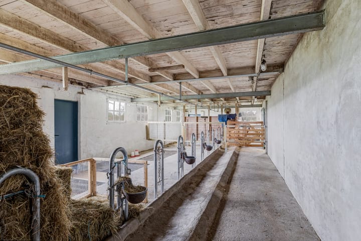 Photo 75 of Weelsedijk 46