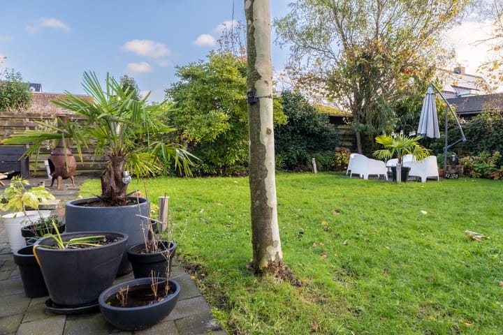 Foto 44 van Weegbree 20