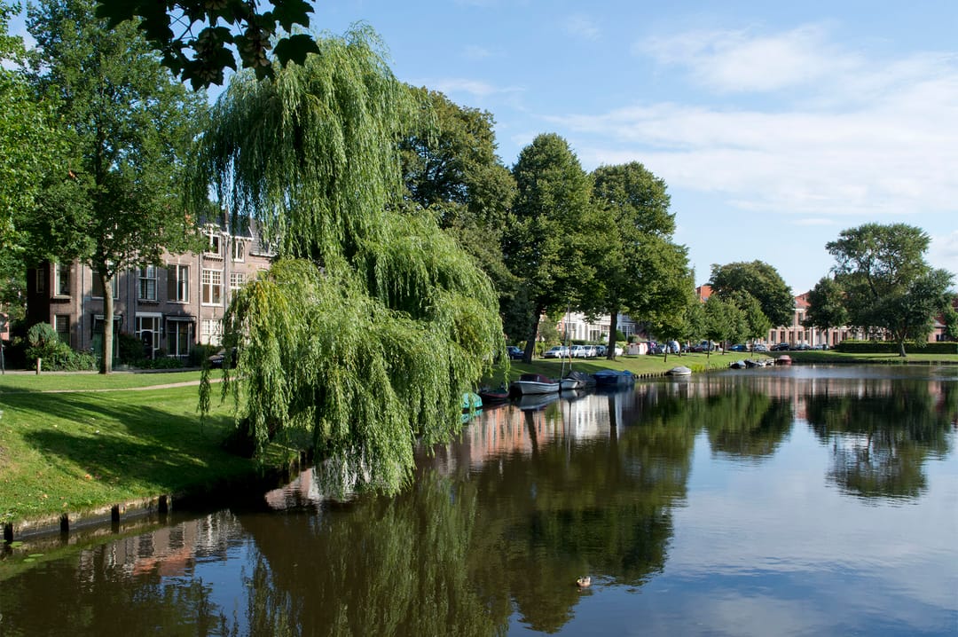 Photo 31 of Soutmanstraat 8