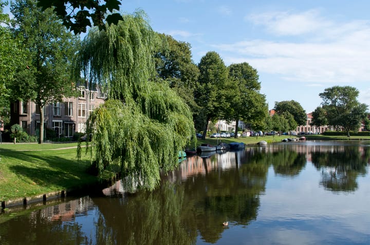 Photo 31 of Soutmanstraat 8