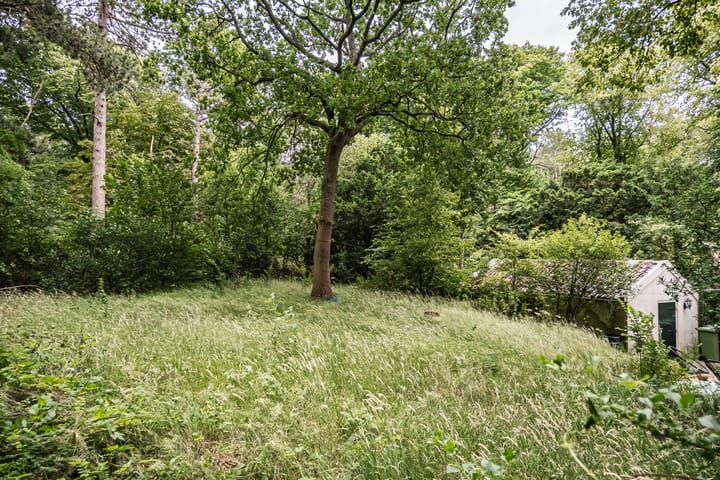 Foto 44 van Herenweg 20