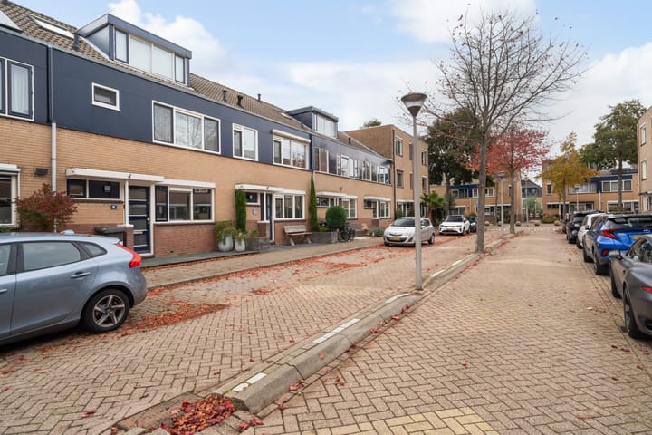 Foto 6 van Lijster 17