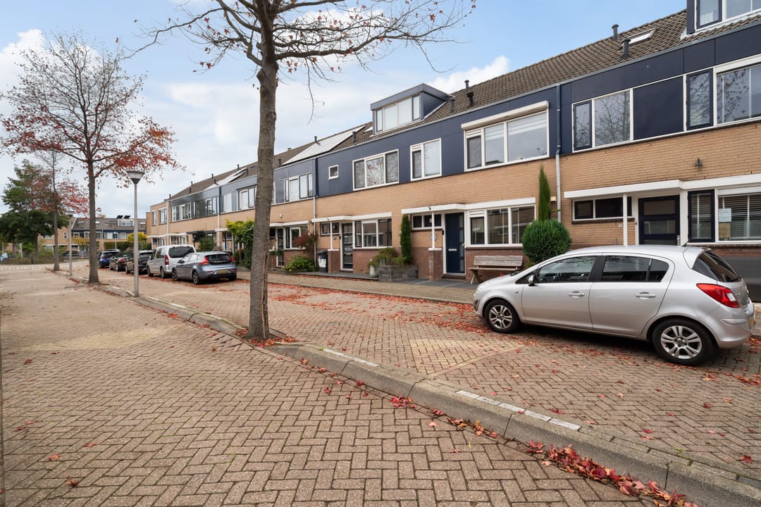 Foto 7 van Lijster 17