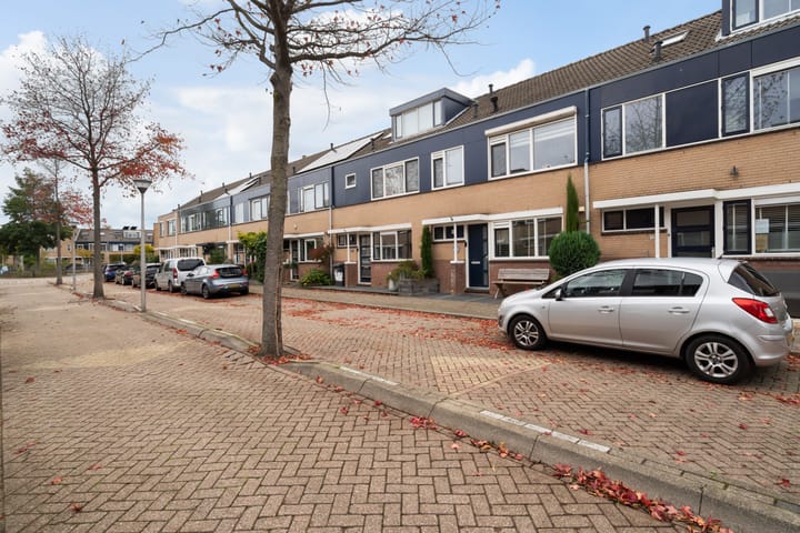 Foto 7 van Lijster 17