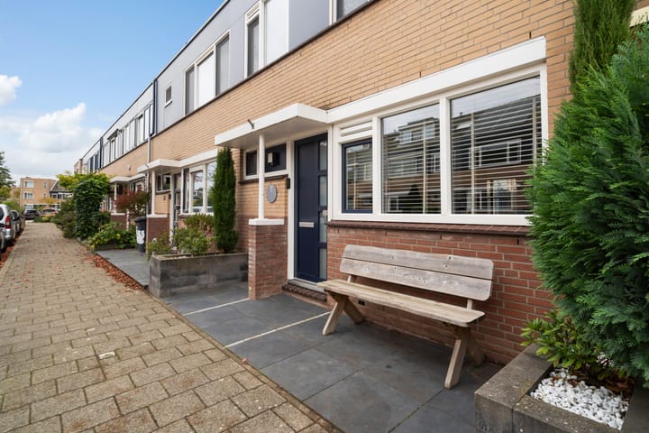 Foto 8 van Lijster 17