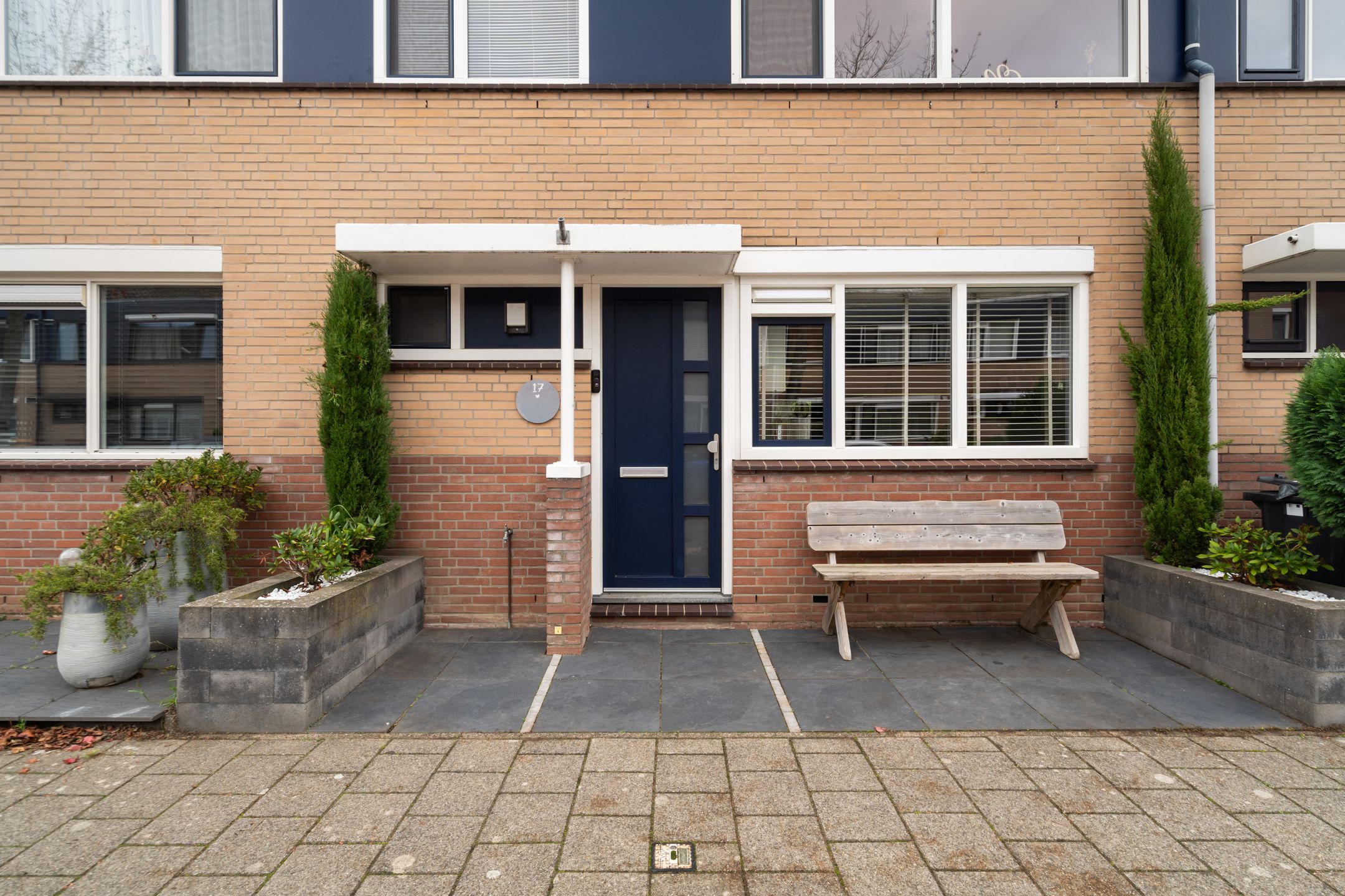 Foto 9 van Lijster 17