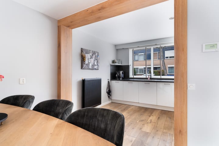 Foto 24 van Lijster 17