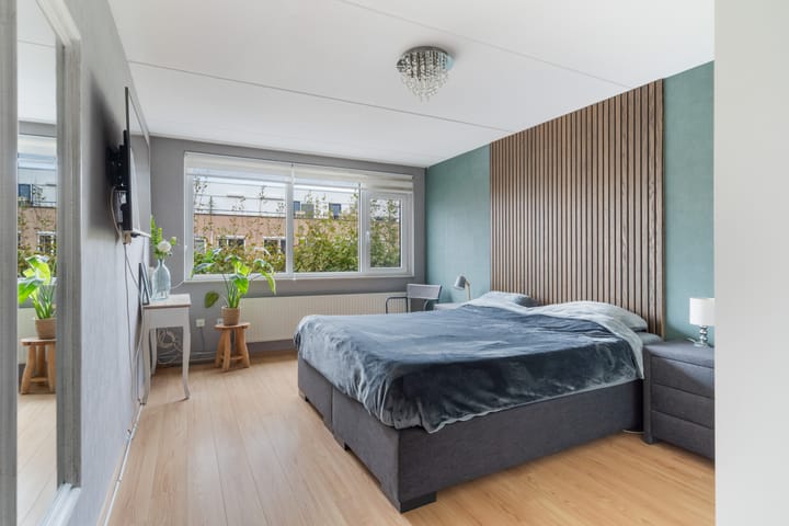 Foto 38 van Lijster 17