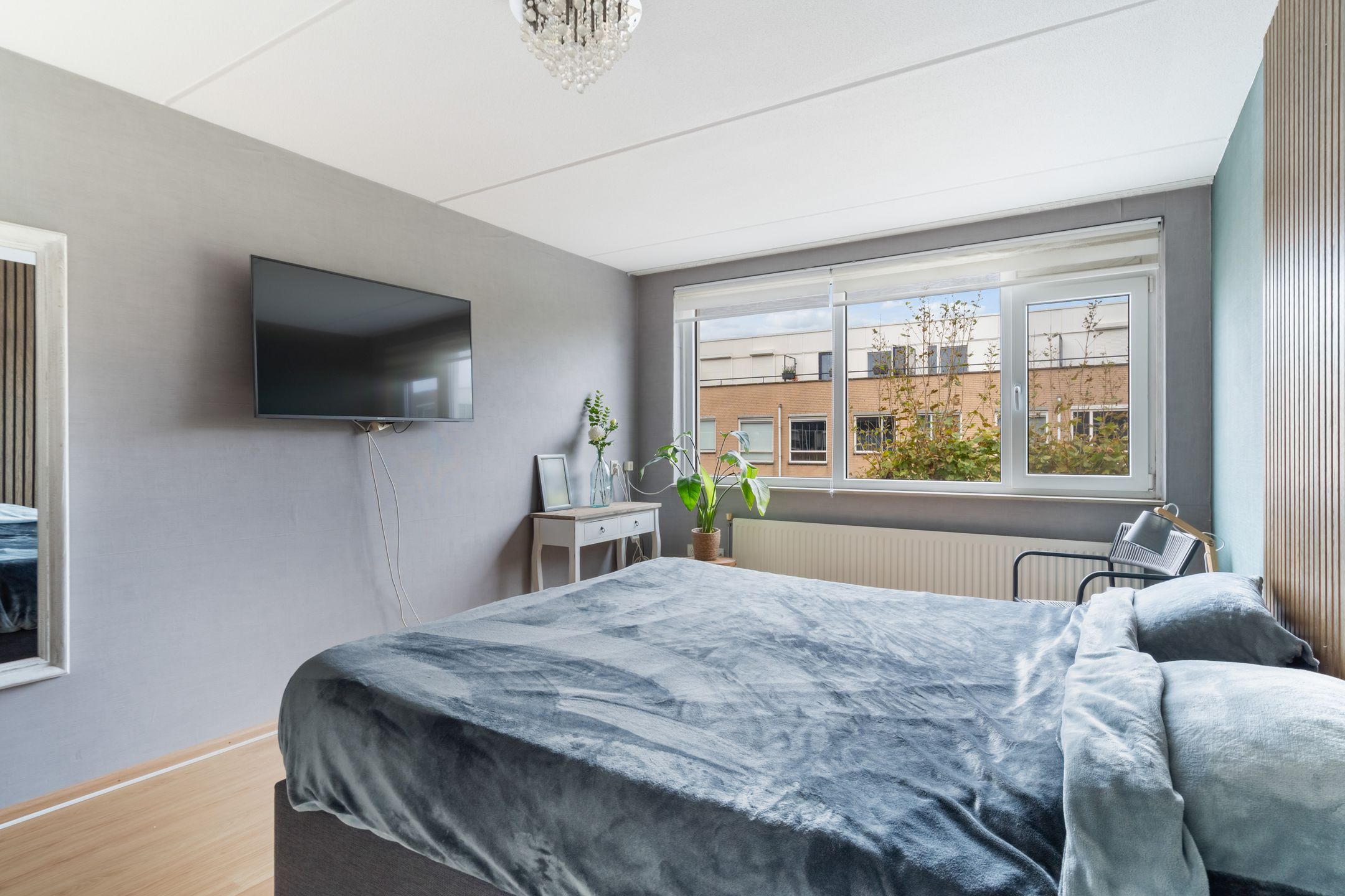 Foto 39 van Lijster 17