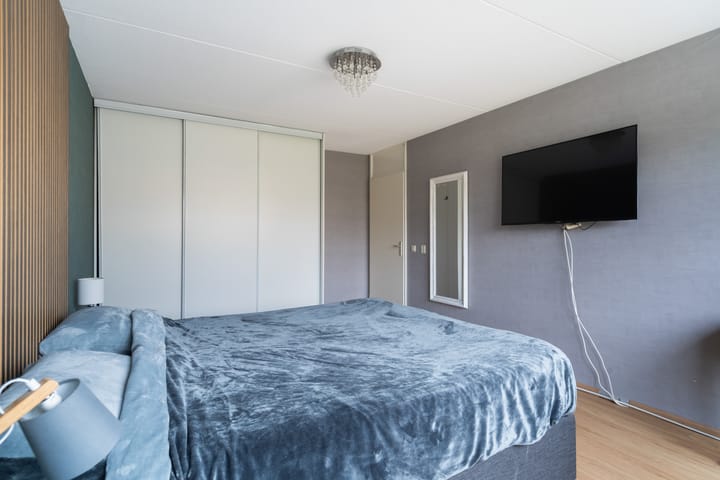 Foto 41 van Lijster 17