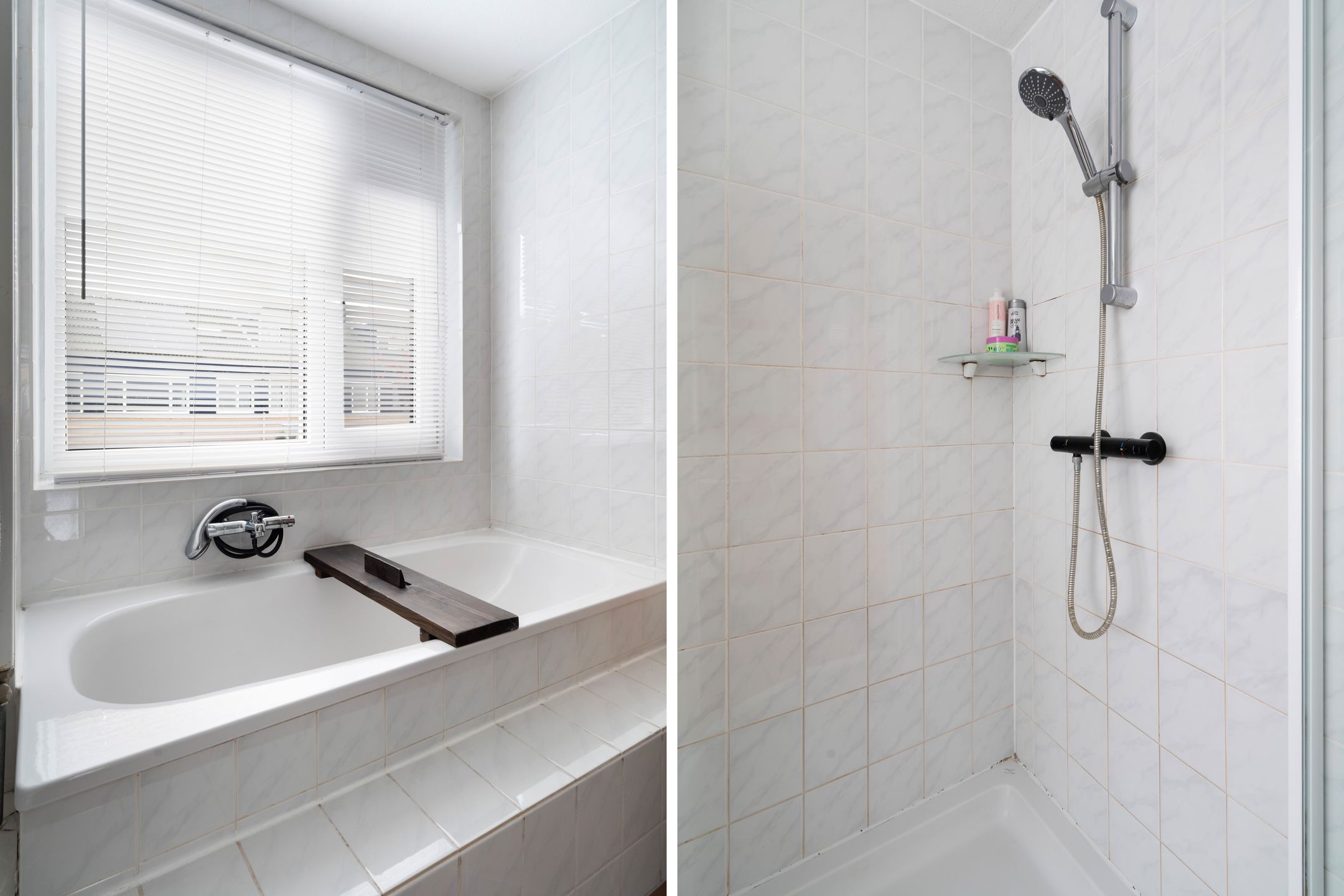 Foto 51 van Lijster 17