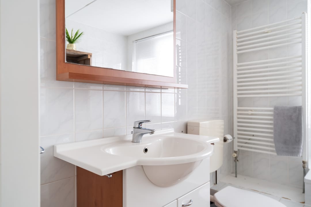 Foto 52 van Lijster 17