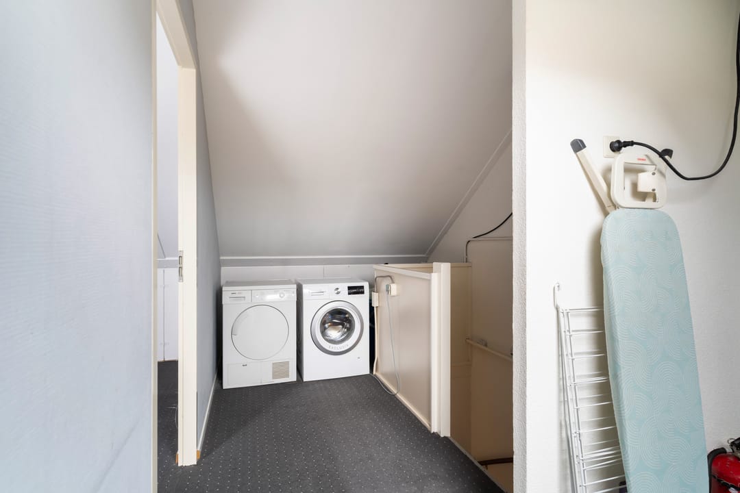 Foto 53 van Lijster 17