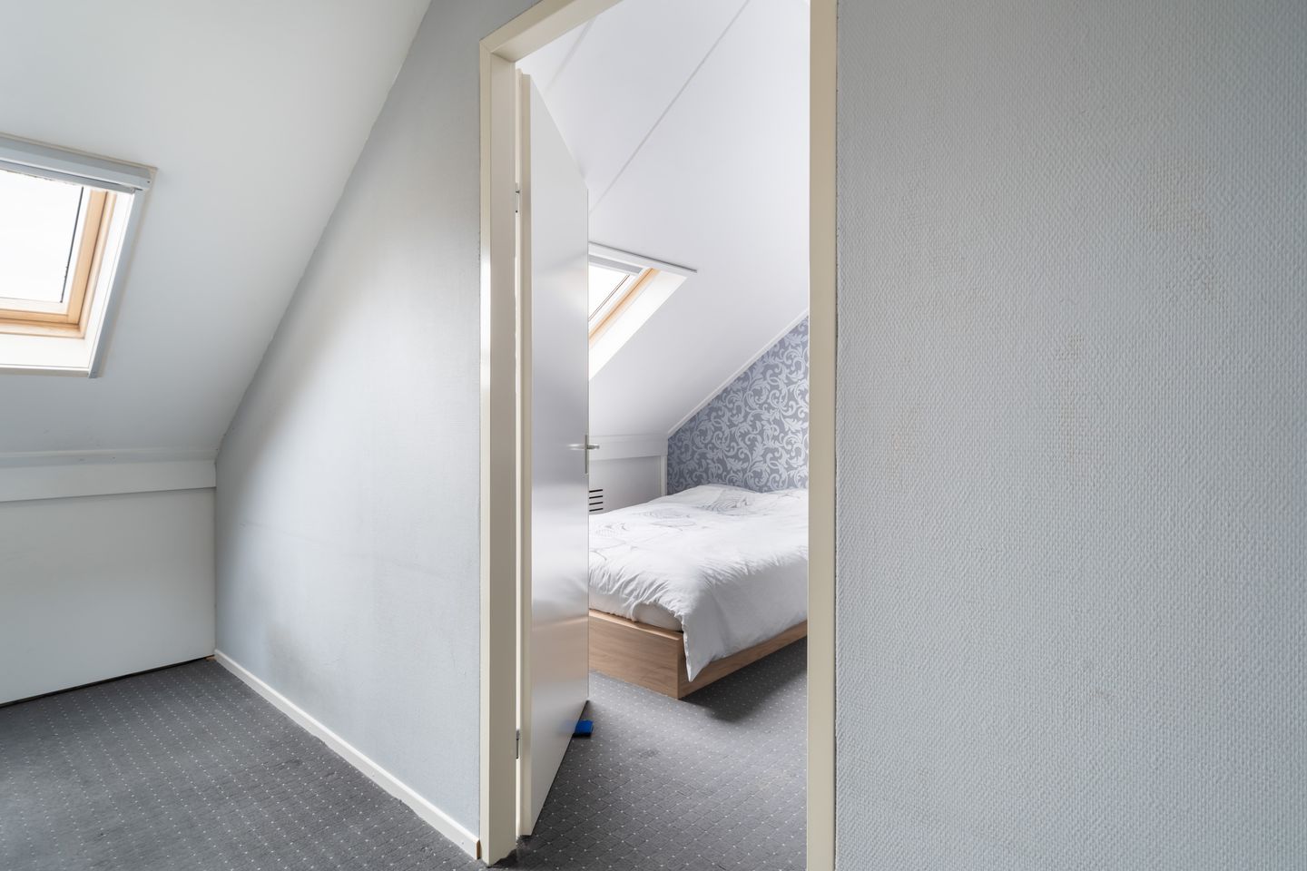 Foto 55 van Lijster 17