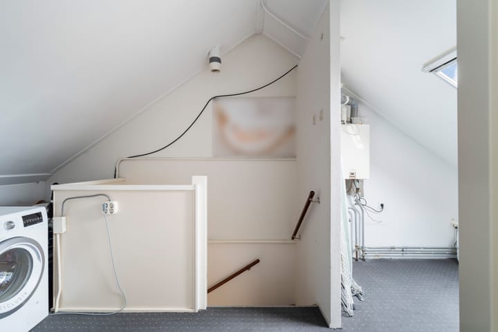 Foto 56 van Lijster 17