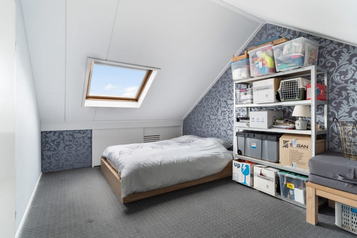 Foto 58 van Lijster 17