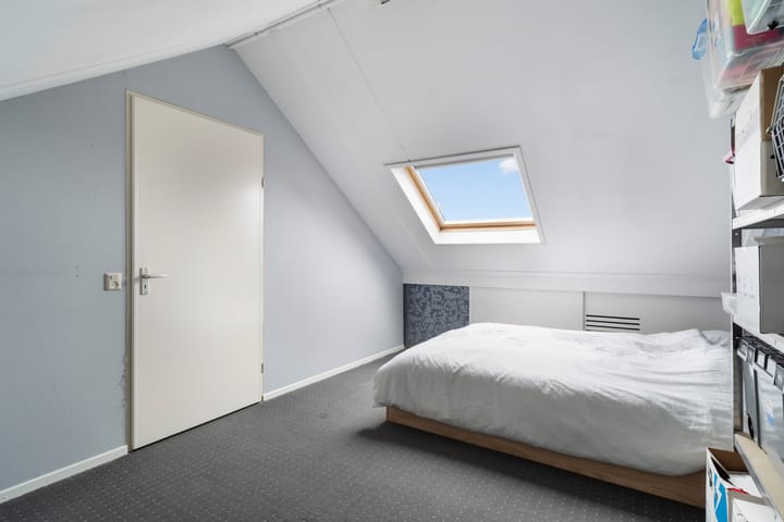 Foto 59 van Lijster 17