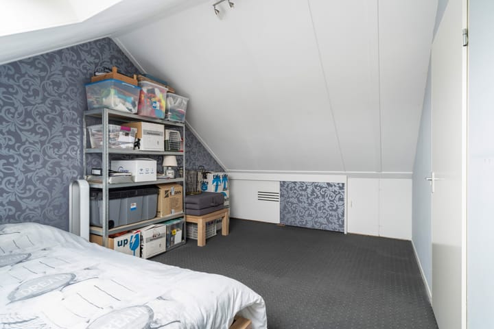 Foto 60 van Lijster 17