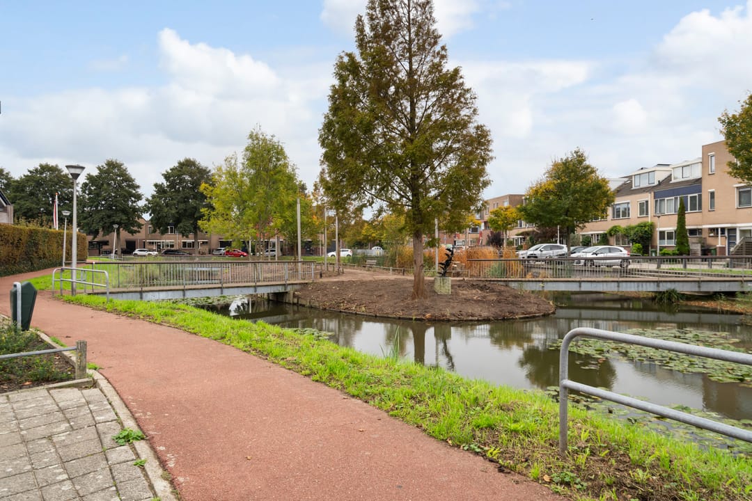 Foto 61 van Lijster 17