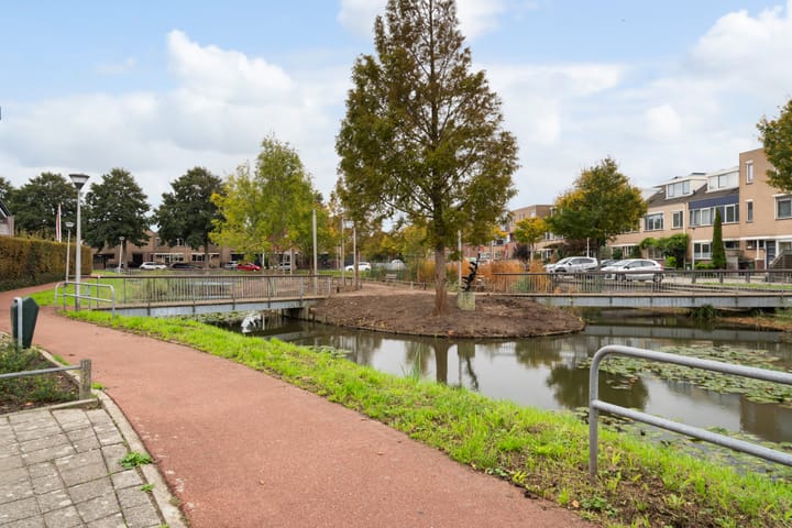 Foto 61 van Lijster 17