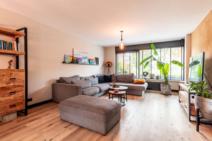 Photo 2 of Piccolodreef 40