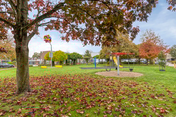 Foto 44 van Van Schendelstraat 20