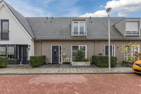 undefined main image