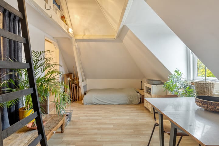 Photo 28 of Alexanderstraat 25