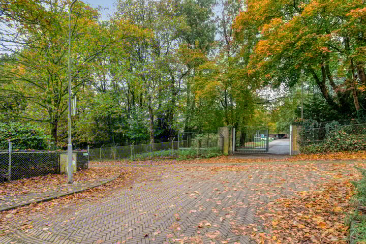 Photo 39 of Alexanderstraat 25