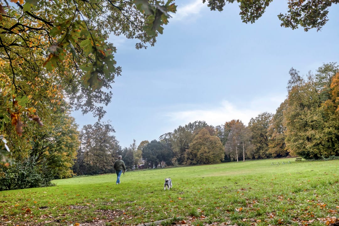 Foto 41 van Alexanderstraat 25