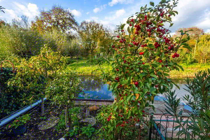 Foto 33 van Julianastraat 61