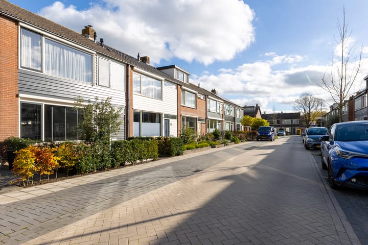 Foto 58 van Prinses Irenestraat 12