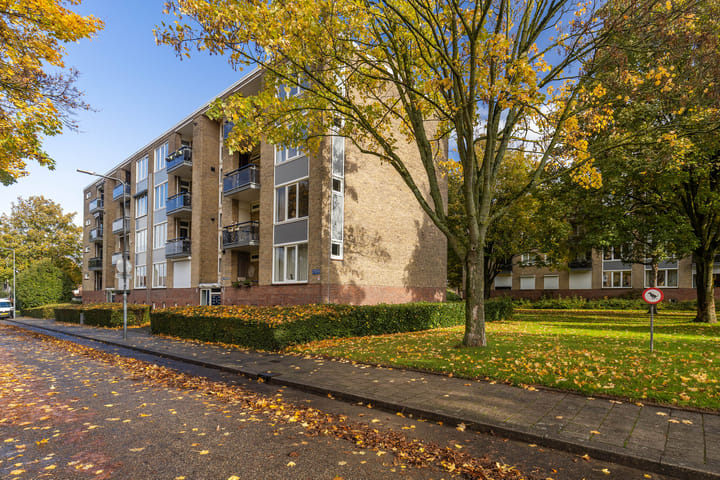 Foto 7 van Amelbergastraat 6-III