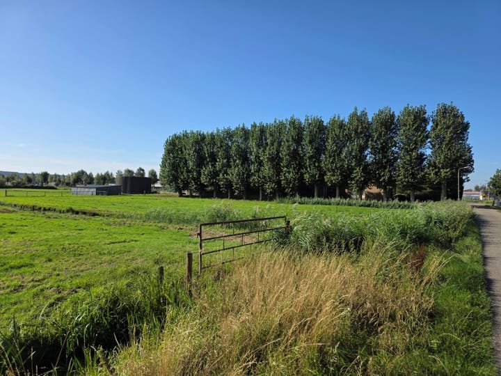 Photo 31 of Reesloot 13