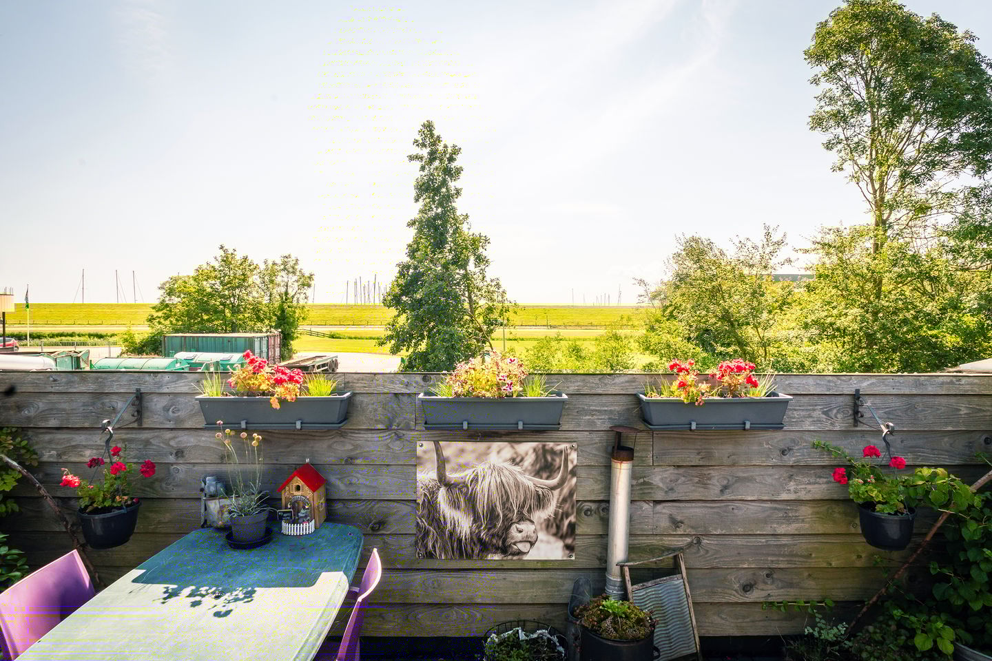 Foto 25 van De Vang 43