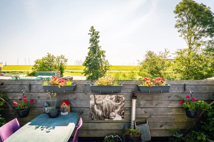 Photo 25 of De Vang 43