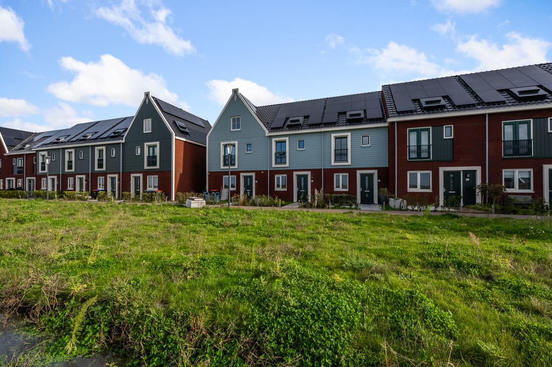 Foto 1 van Beemdgras 84