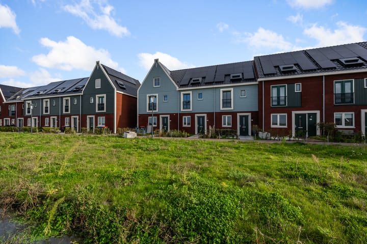 Beemdgras 84 main image