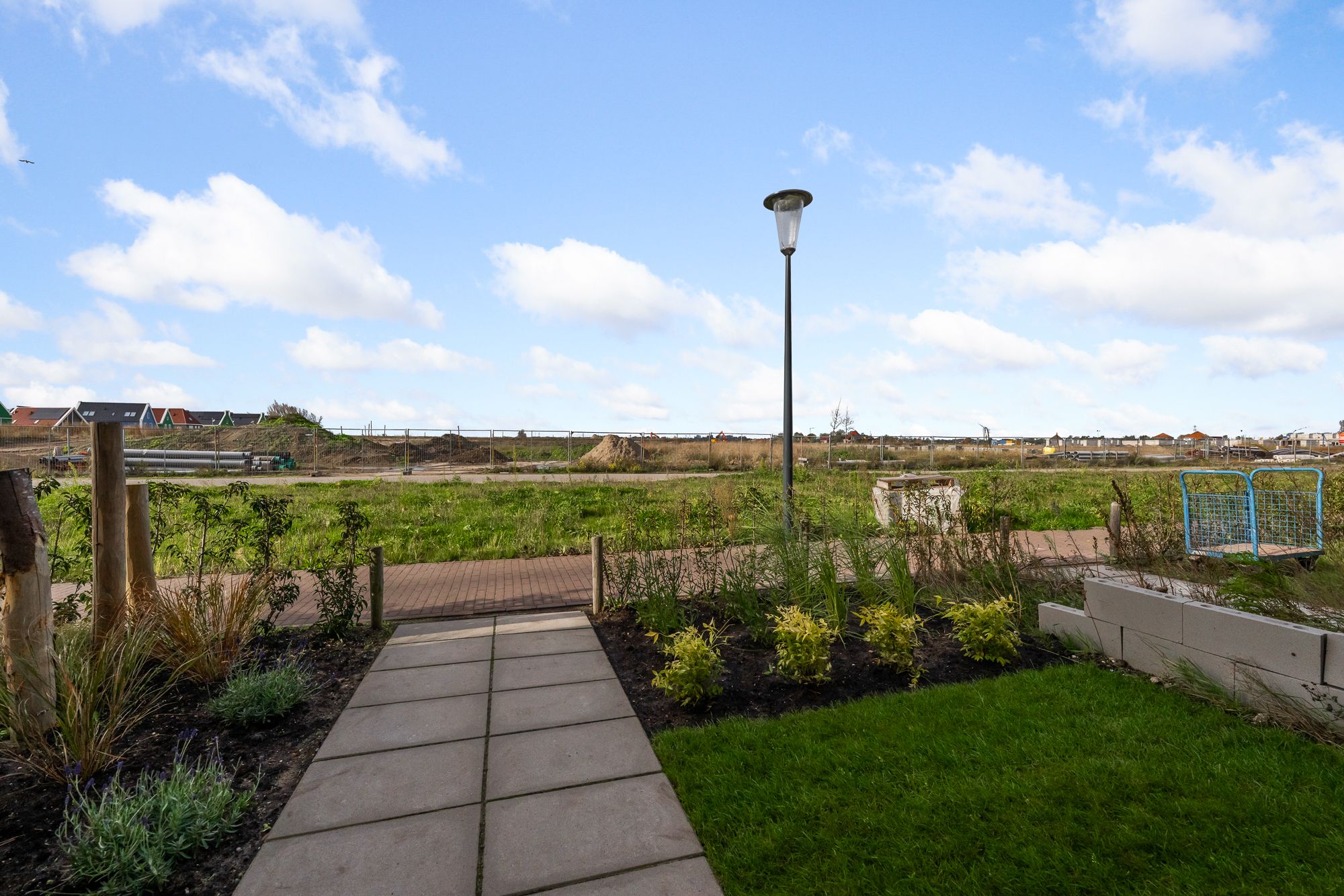 Foto 3 van Beemdgras 84