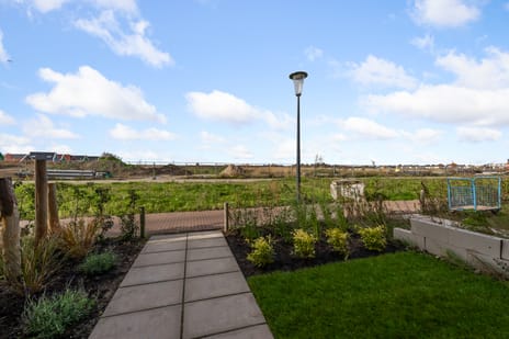 Beemdgras 84 tertiary image