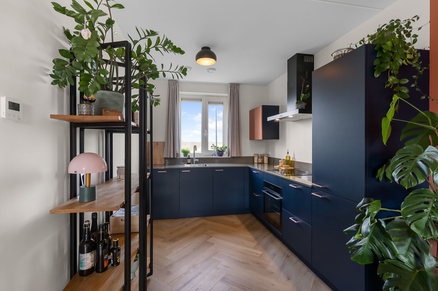 Foto 10 van Beemdgras 84