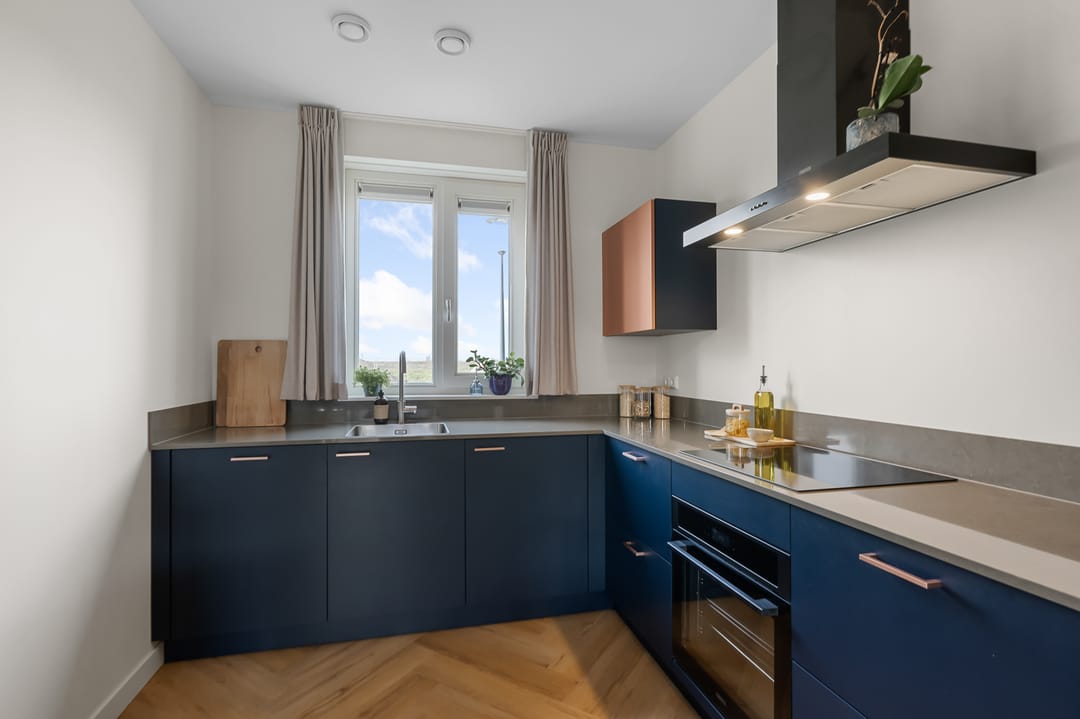 Foto 11 van Beemdgras 84