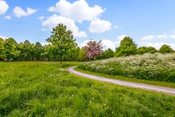 Foto 31 van Zonstraat 33