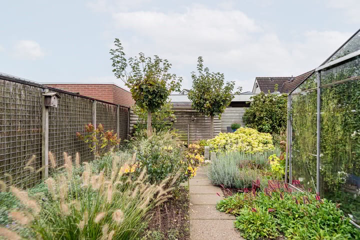 Foto 28 van Valeriaan 9