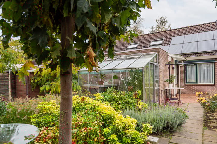 Foto 30 van Valeriaan 9