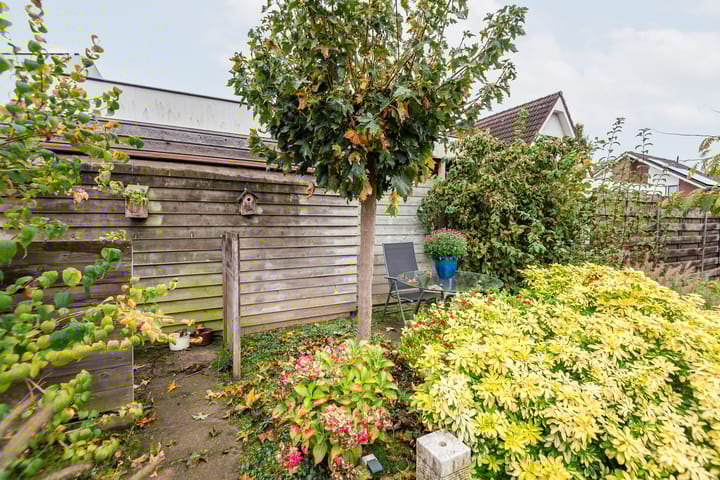 Foto 33 van Valeriaan 9