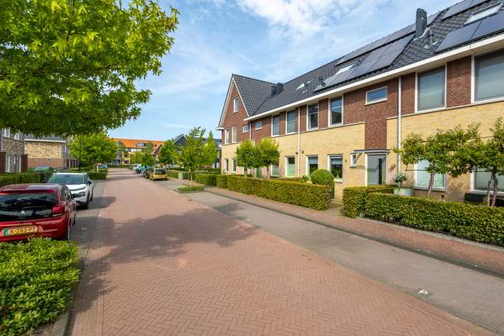 Foto 35 van Grutto 12