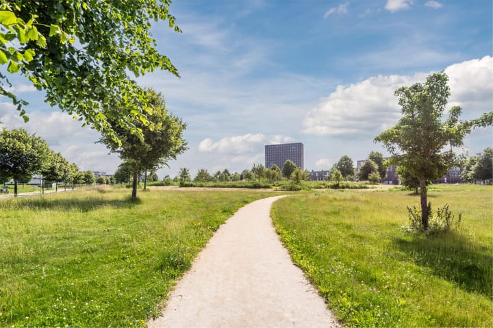 Foto 47 van Dettifossstraat 304