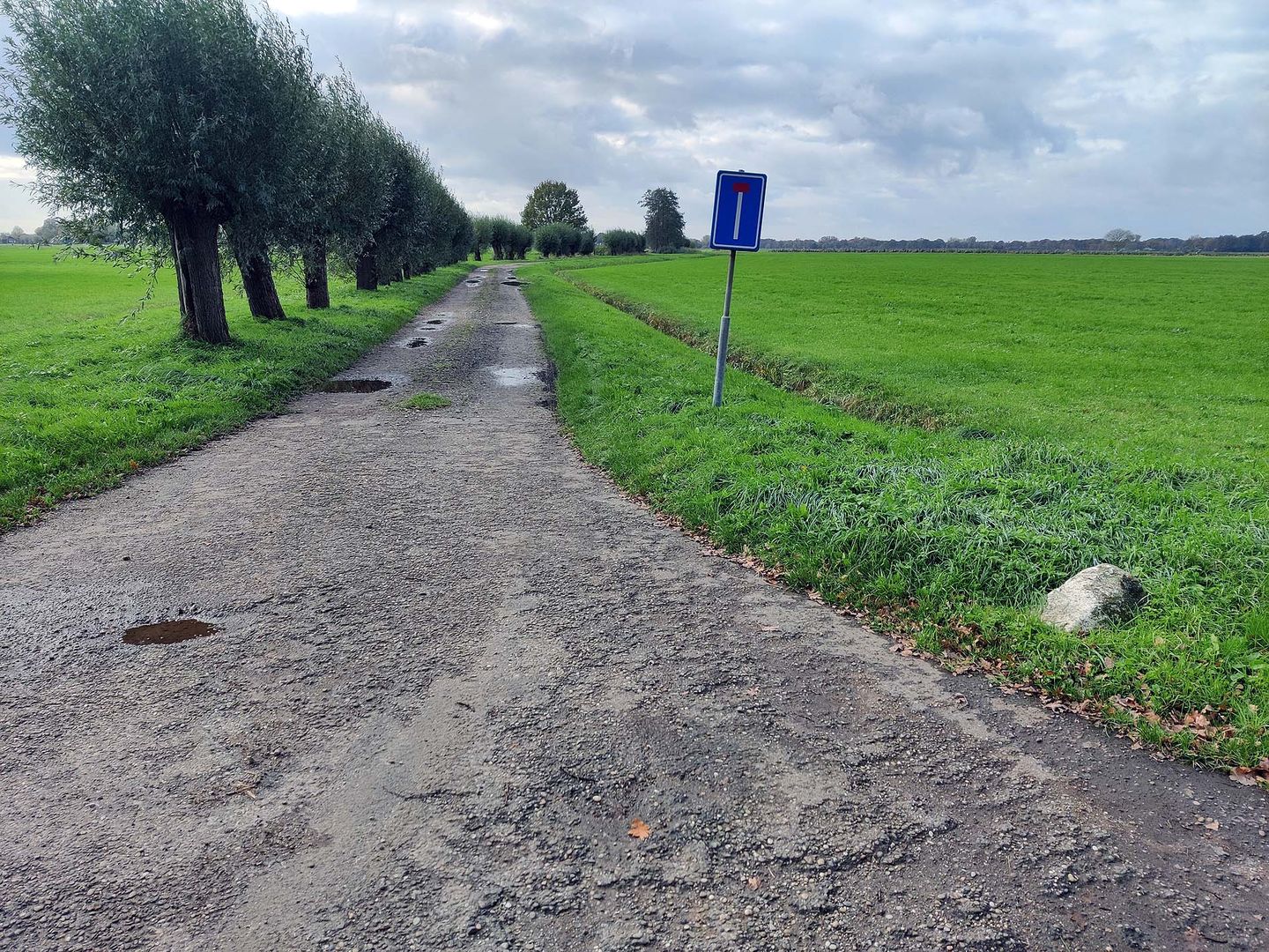 Bekijk foto 5 van Oenerweg