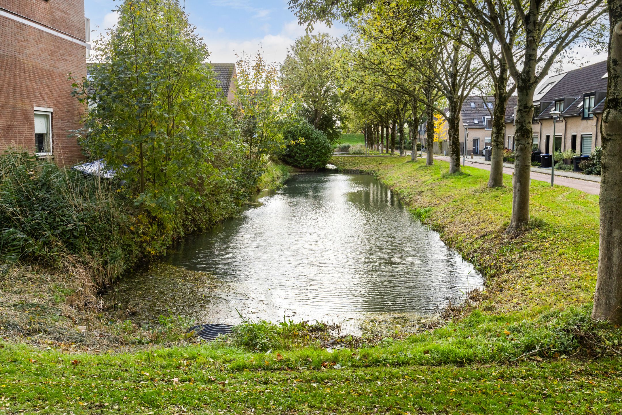 Foto 39 van Aletta Jacobs-erf 43